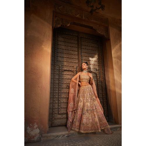 Rustic Organza Lehenga