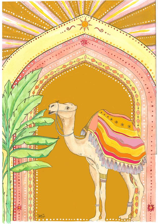 Jaipur Camel