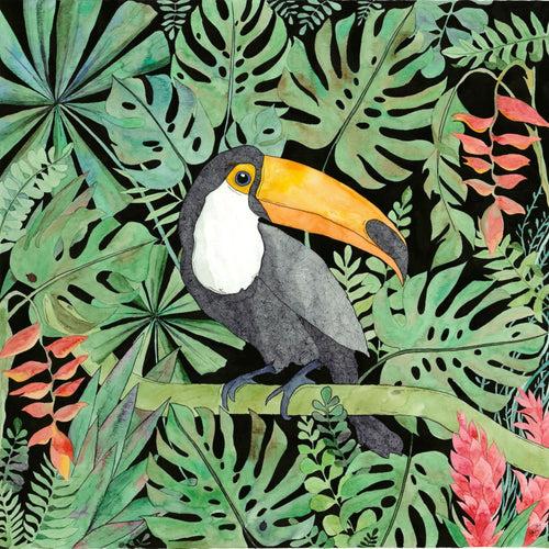 Toucan 1 (Size: A3)