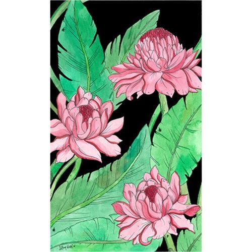 Torch Ginger (Size: A3)