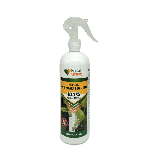 HERBAL ANTI-MEALY BUG SPRAY