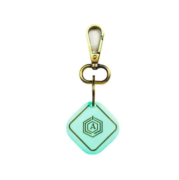 Smart Keychain (Mint)