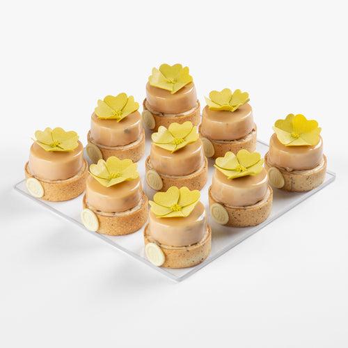 Blonde Tartlettes