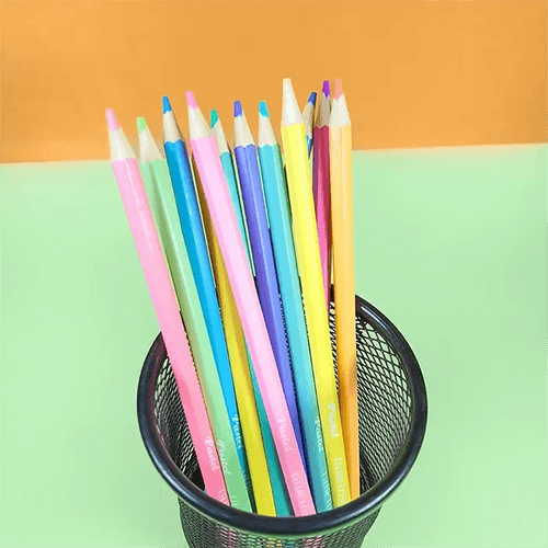 Rainbow Pastel Color Pencil Set of 12