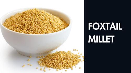 FOXTAIL