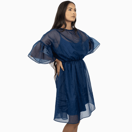 Round Neckline Organza Dress – Blue