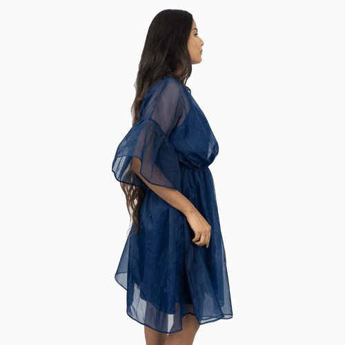 Round Neckline Organza Dress – Blue