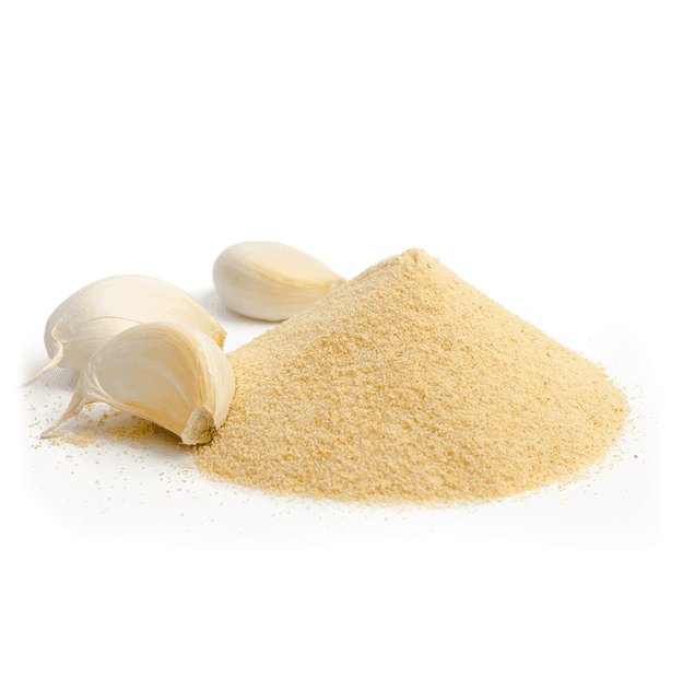 Garlic Powder | Allium sativum