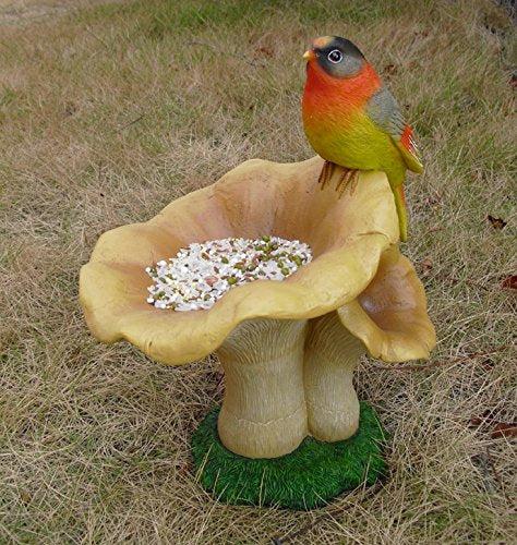 Wonderland Bird Feeder, Bird Bath for Garden Decor, Balcony Decoration (Home and Garden Decor)