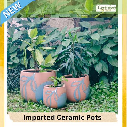 Wonderland Set of 3 blue embossed Imported ceramic pots for exterior/ Outdoor