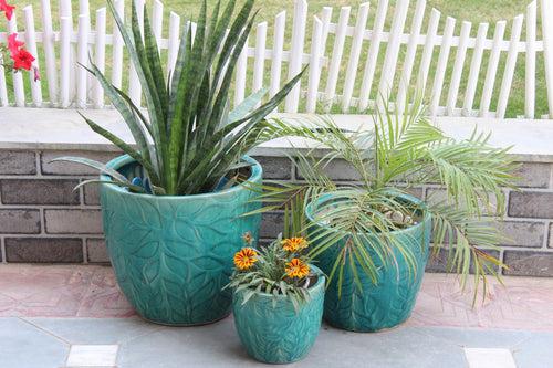 Wonderland Set of 3 seagreen imbossed Imported ceramic pots for exterior/ Outdoor