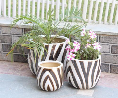 Wonderland Set of 3 Zebra Imported ceramic pots for exterior/ Outdoor