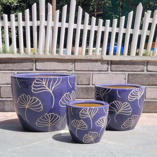 Wonderland Set of 3 blue floral Imported ceramic pots for exterior/ Outdoor