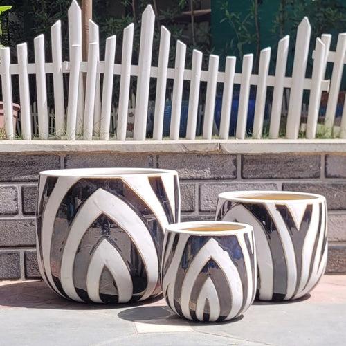 Wonderland Set of 3 Zebra Imported ceramic pots for exterior/ Outdoor