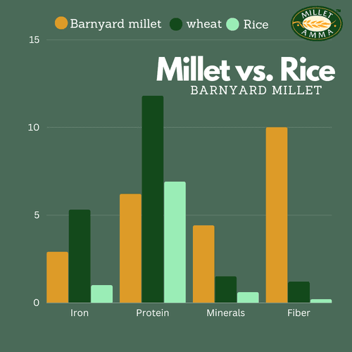 Organic Barnyard Millet Organic 500 G