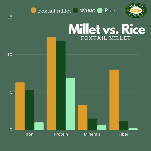 Foxtail Millet Poha Flakes Organic 500 gms