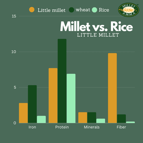 Organic Little Millet Combo Pack of 3 | Little Millet Grain + Little Millet Rava + Little Millet Flour | 500gm Each