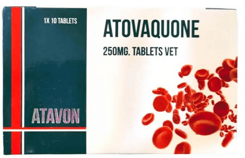 Atavon Atovaquone 250mg tablets for dogs & cats, 10tabs