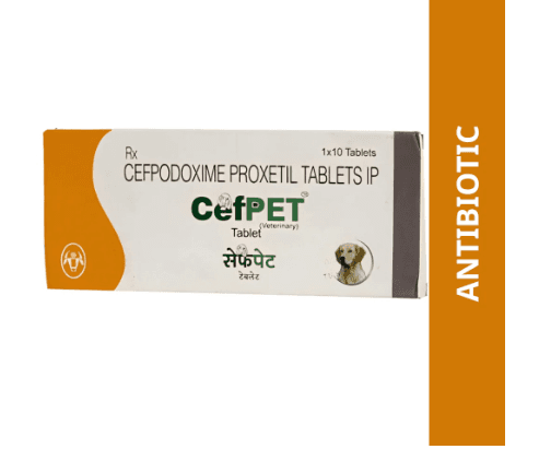 Intas Cefpet 100mg (Cefpodoxime Proxetil) Tablet for Dogs & Cats (pack of 10 tablets)