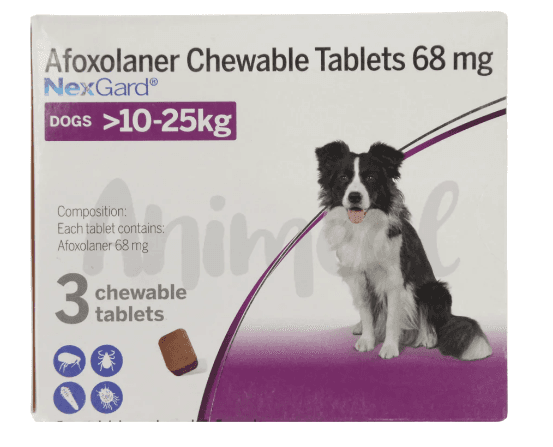 Nexgard Dog 10 to 25kg