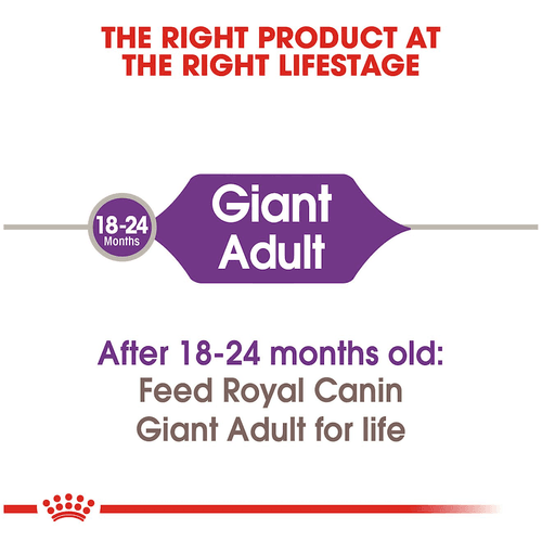 Royal canin Giant Adult