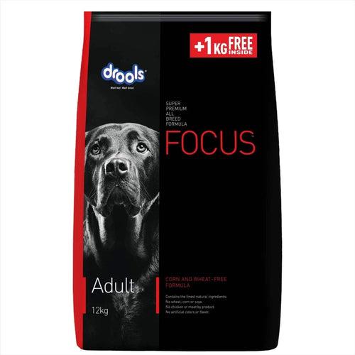 Drools Focus Adult