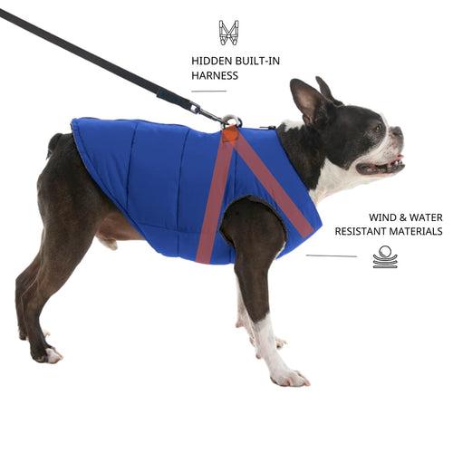 Zoomiez Ultimate Dog Jacket With Built in Harness - Blue
