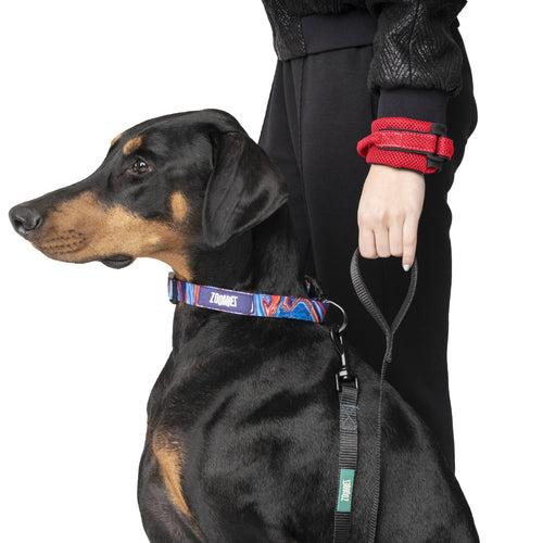 Zoomiez Hands-Free Mesh Dog Leash - Red