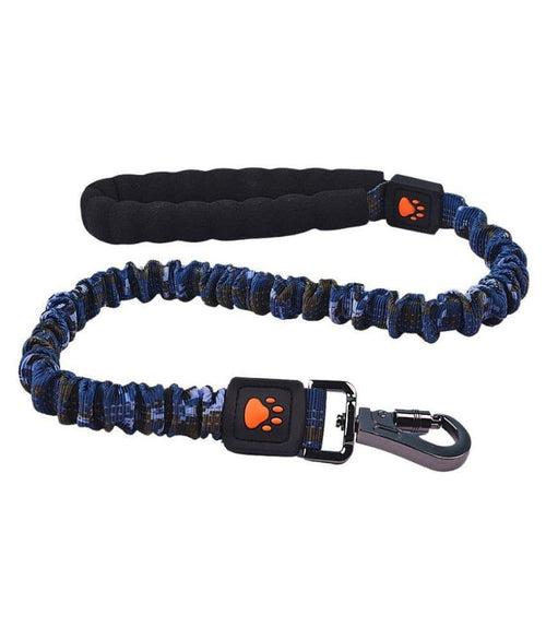 Basil Strechable Leash