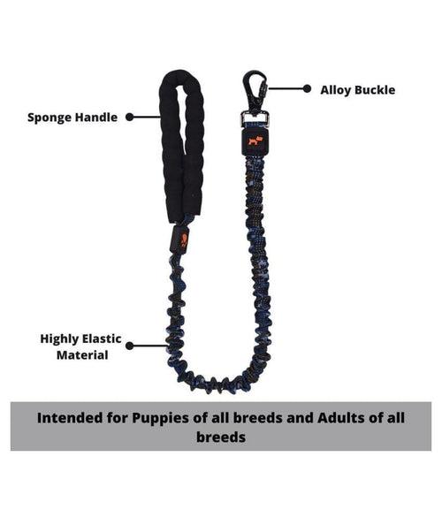 Basil Strechable Leash