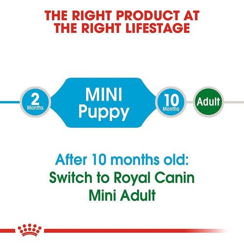 Royal canin Mini Puppy