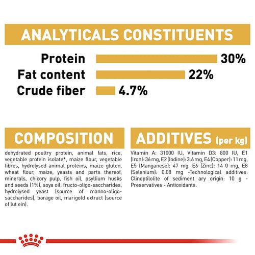 Royal Canin Persian Adult Cat Food