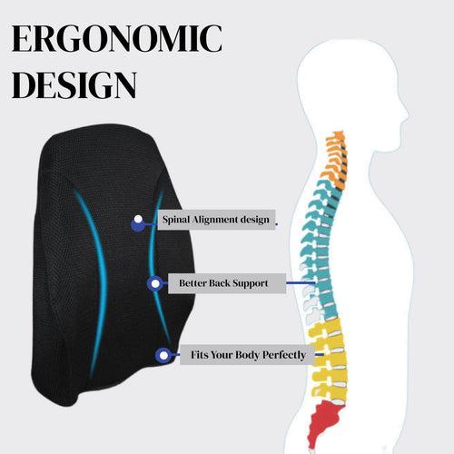 Back Pain Relief Products Combo : Back Rest and Lumbar Support Belt