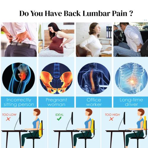 Back Pain Relief Products Combo : Back Rest and Lumbar Support Belt