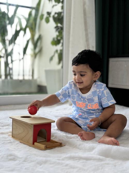 Developmental Playbox(10-12 Months)