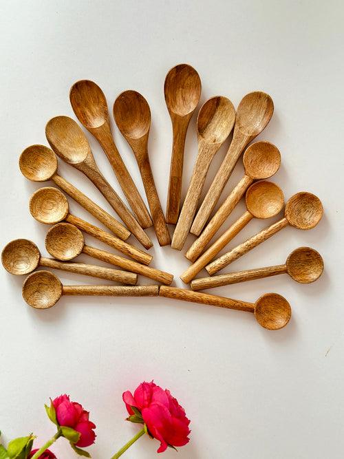 Salt & Spice Spoon Set of 16