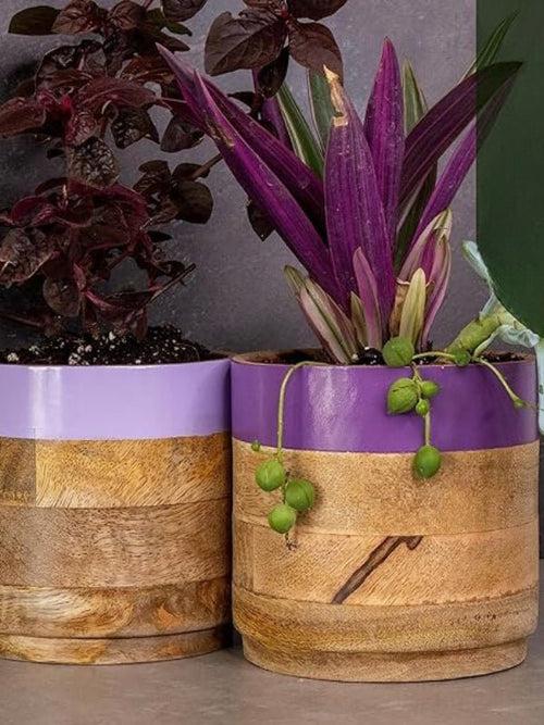 Light  & Dark Purple Planter Combo
