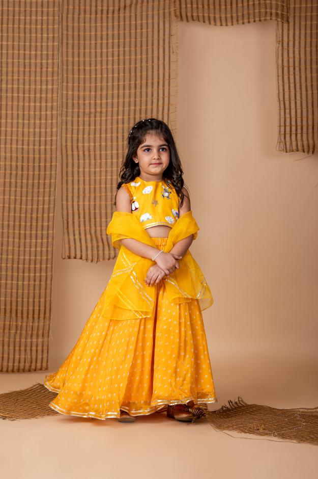 Pre-Order: Fun embroidery Yellow Bnadhej Ghaghra