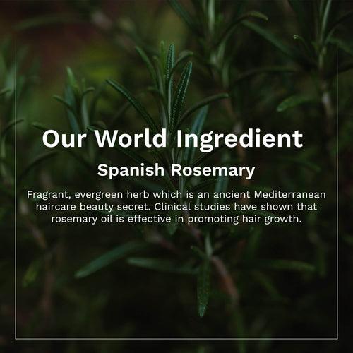 Spanish Rosemary & Biotin Hair Growth Oil