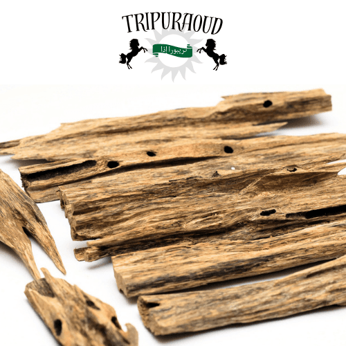 Tipperah Hill(Oud Oil + Agarwood) by TripurAgar - Artisnal | Oud Oil | Agarwood | Combo | | Exotic Hindi Oud