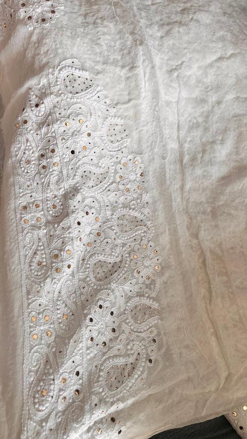 Ruhani Allover Chikankari and Mukaish Saree