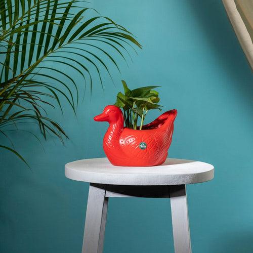 TrustBasket Duck Pot Multicolor