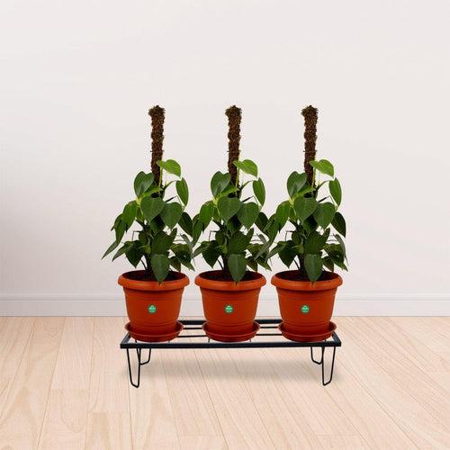 Lantana Planter Stand