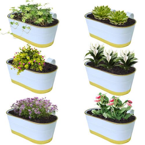 TrustBasket 12 inches Railing Planters for Balcony, outdoor oval metal plant pots for railing, pack of 6 (White & Gold colour)