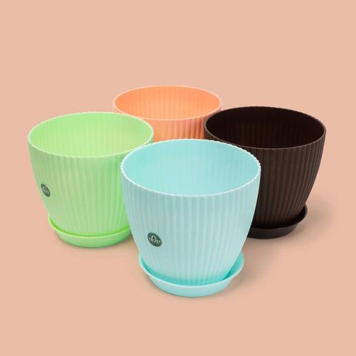 TrustBasket Bloom Pot With Saucer | Table Top Planter Pot (Pack of 4)