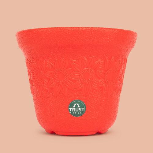 TrustBasket Sunny Pot | 6 inch Table Top Planter Pot (Pack of 4)