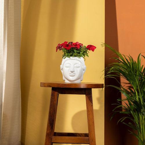 TrustBasket Buddha pot