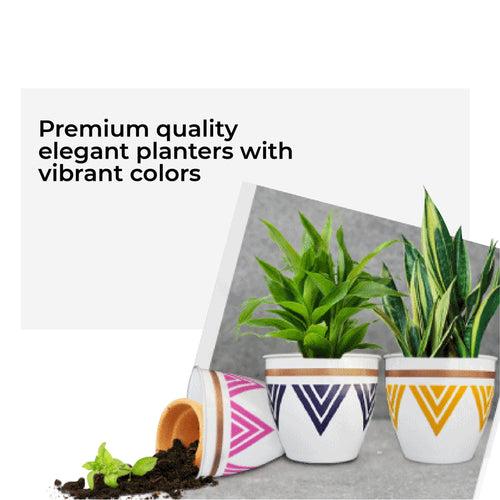 Trustbasket Armour Planters (Set of 3)