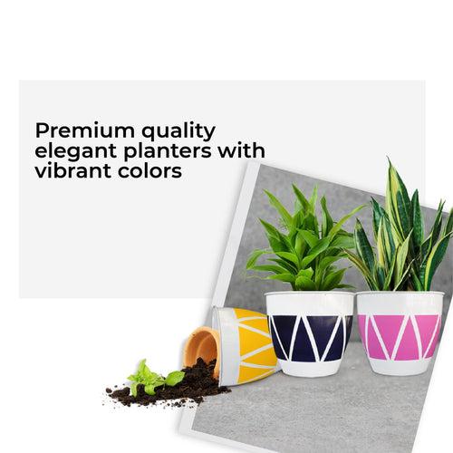 TrustBasket Ciara Planter (Set of 3)