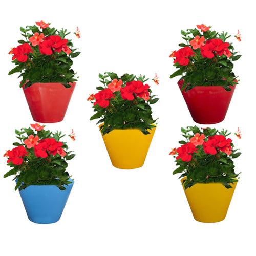 Victor Hook Pot (Set of 5 - Assorted colors)